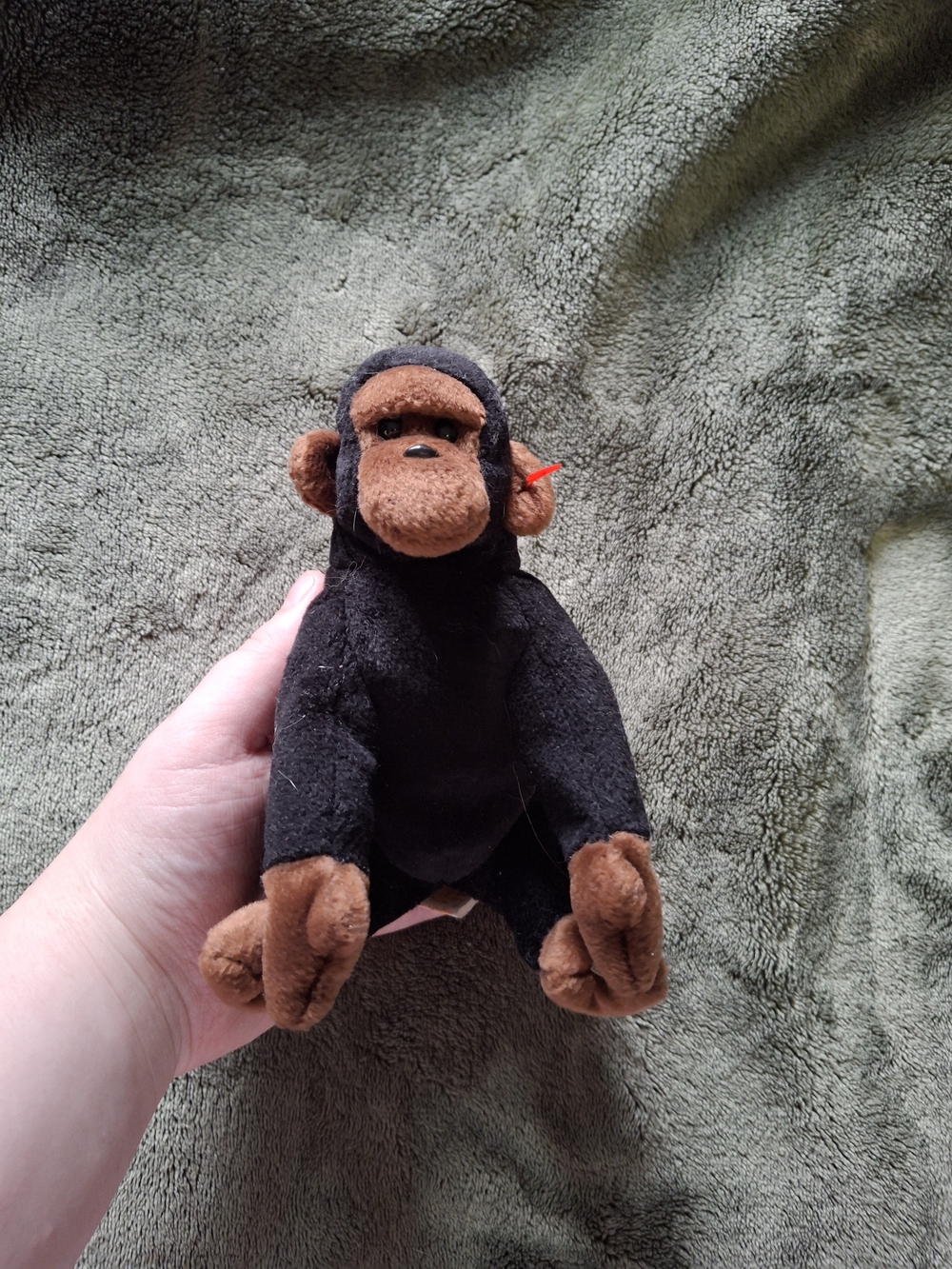 Ty Beanie Babies - "Congo" the Gorilla (1996)